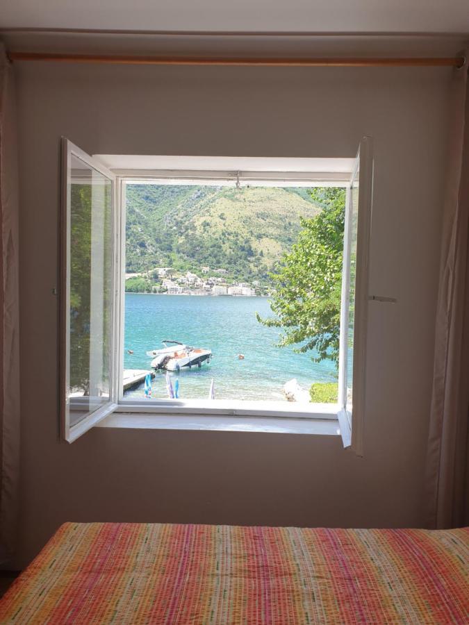 Savic Apartments Kotor Ngoại thất bức ảnh