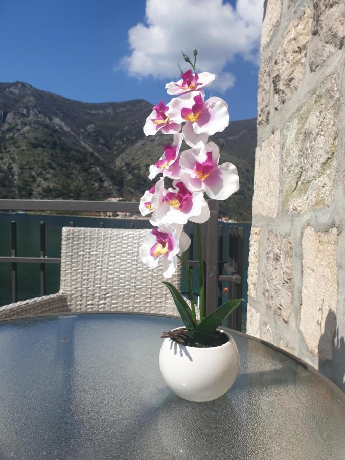 Savic Apartments Kotor Ngoại thất bức ảnh