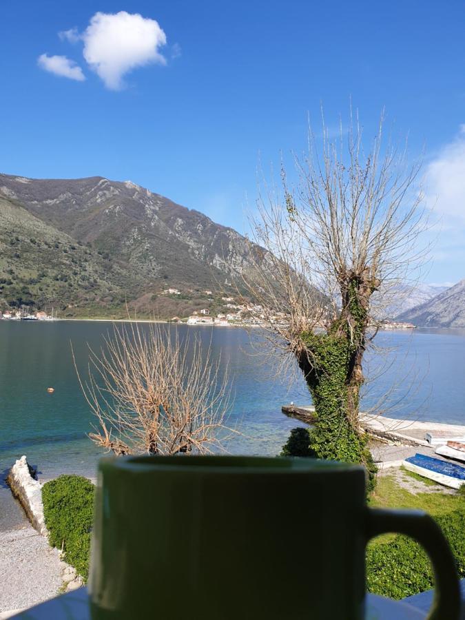 Savic Apartments Kotor Ngoại thất bức ảnh